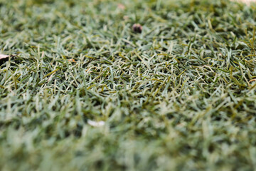 cesped artificial de plastico extendido