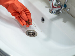 Hand in orange gloves take away many hair loss on filter in washbasin in white bathroom while cleaning. Clogged Sink Drain Stopper. Housework, cleaning, hygiene home, healthcare and medical concept. 