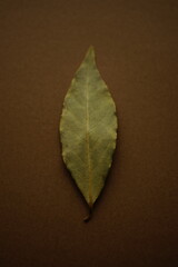 Dry bay leaf on the brown table. Top view.