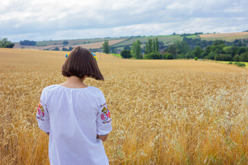 wheat field and ukrainian girl in national women's embroidered clothes, back view. Independence Day and symbols of Ukraine.