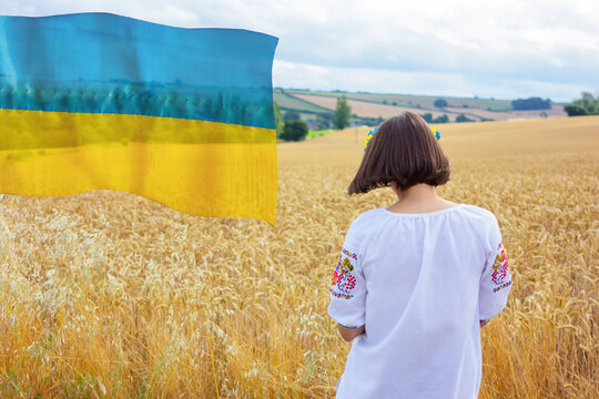 Ukrainian Girl In An Embroidered Shirt Stands In A Wheat Field, Rear View. National Women's Clothing And Symbols Of Ukraine, Yellow-blue Flag, Patriotism, Independence Day And Other Holidays.