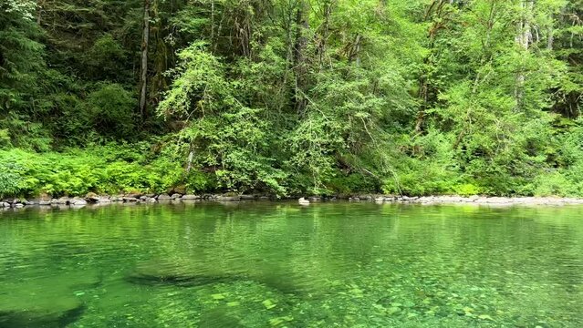 Beautiful Englishman River Waterfalls upper section , Parksville, British Columbia, Canada . High quality photo
