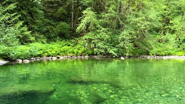 Beautiful Englishman River Waterfalls upper section , Parksville, British Columbia, Canada . High quality photo