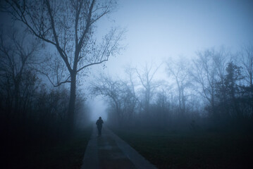 Silhouette of one person walking down the footpath through the winter forest mist