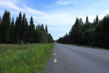 Fototapeta na wymiar Road and nature. White stripes at the asphalt. Summer photo. Long straight distance. Concept of freedom and peace. Calm transportation. Jämtland, Sweden, Europe.