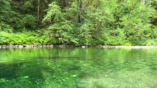 Beautiful Englishman River Waterfalls upper section , Parksville, British Columbia, Canada . High quality photo