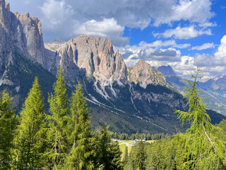 Mountains panorama and pine forest, Mount Catinaccio, Ciampedie, Vigo di Fassa, Dolomites, Italy