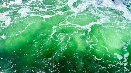 Business background with map and mail signs in greens Abstract picture with randomly angled words DESIGNING on a background with Emerald, Pastel Blue, Dark Turquoise color Template for canvas or card