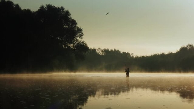 Fisherman pulling fish on the river in a foggy summer morning. Fishing for spinning.