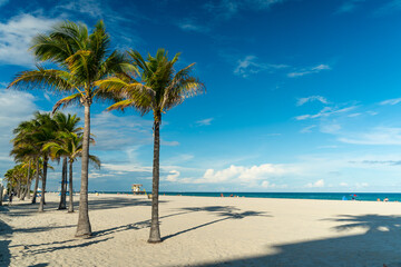 Fototapeta na wymiar palm trees on Hollywood beach in Florida, clean sand with ocean and blue sky in the background