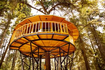 luxurious wooden house among the trees, glamping