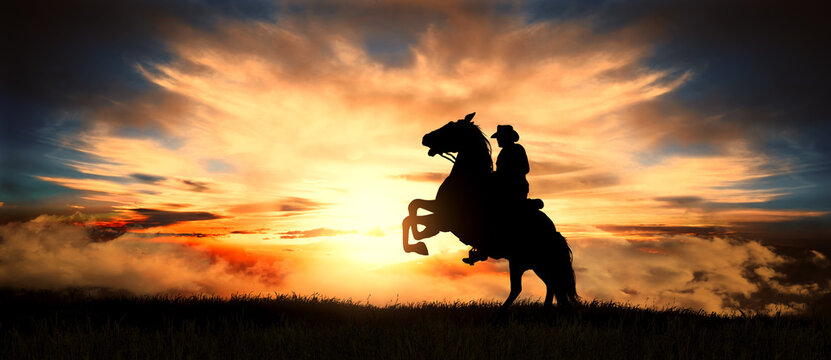 Silhouette of cowboy rearing his horse at sunset