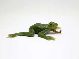 
Plastic toad. amphibian animal. Children's toy. Frog hunting insects with his tongue. Figure for children to play.