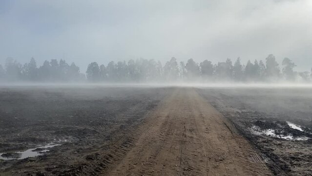 paisaje con neblina sur de chile