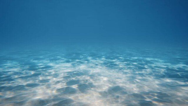 Time Lapse underwater of the seabed of ocean