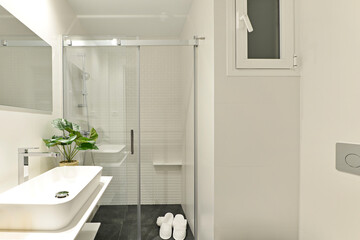 Bathroom with plain white tiles, sliding glass shower stall, designer porcelain sink, faux plant and frameless mirror on the wall