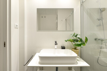 Fototapeta na wymiar Plain white tiled bathroom with roll-in glass shower stall, designer porcelain sink, faux plant and frameless wall mirror, chrome fixtures