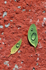Hoja 5