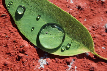 Hoja 2