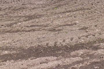 Fertile plowed soil in an agricultural field