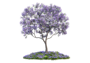 trees and flower on a transparent background
