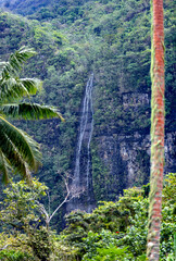 Cascade Te vaiuri à Afareaitu