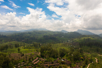 Naklejka na ściany i meble Aerial drone of Farmers' houses among tea estates in the mountains. Maskeliya. Tea plantations in Sri Lanka.