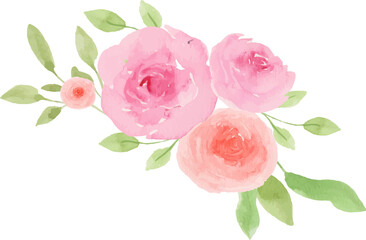 Pink Rose Arrangement Watercolor