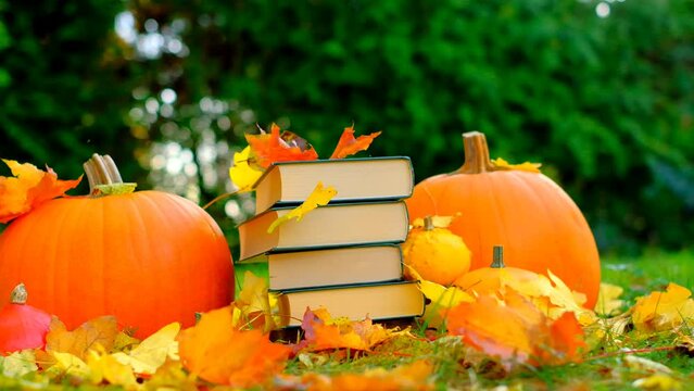 Books on the autumn theme.Back to school. Halloween Books. yellow leaves fall on books.Study and education concept. stack of books and maple orange leaves and pumpkins set in autumn garden 