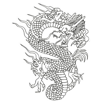 Isolated draw down chinesse dragon zodiac vector illustration