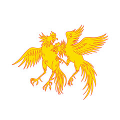 Cockfighting Roosters Cockerel Drawing