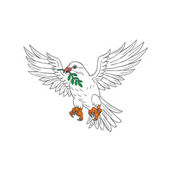 Obraz premium Dove With Olive Leaf Drawing