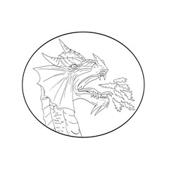 Dragon Fire Circle Drawing