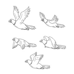 Eagle Flying Side Cartoon Collection Set