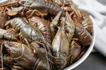 Fresh raw crayfishes in bowl, closeup. Healthy seafood