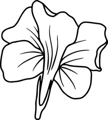 Hand Drawn Flower Sketch Line Art
