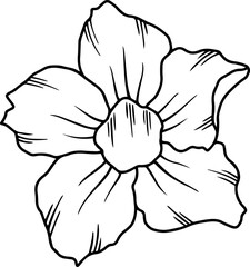 Line Art Frangipani Illustration