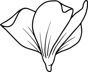 Modern Flower Line Art
