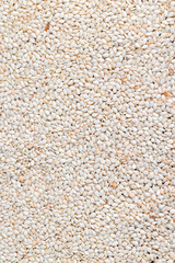a large number of white dried sesame seeds