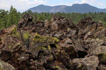 Fototapeta na wymiar mossy rocks in the mountain forest