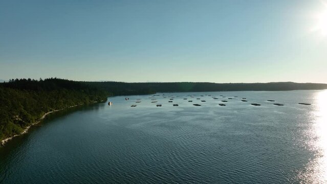 Rising aerial shot over the Penn Cove mussel farm near Coupeville, Washington.