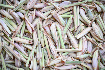 lemongrass tea, lemon grass slice on background, fresh lemon grass dry in the sun for food and herb