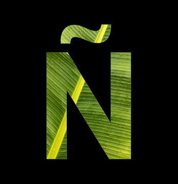 Alphabet Letter Ñ - Banana plant leaf background