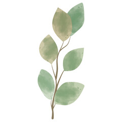 Green Leaves Watercolor