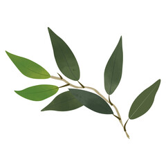 Green Leaves Watercolor