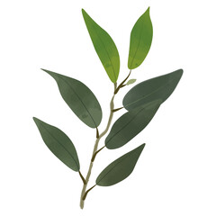 Green Leaves Watercolor