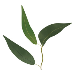 Green Leaves Watercolor