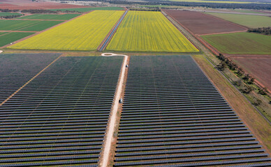 solar power  grid near the New South Wales town of Hillston. - 524166195