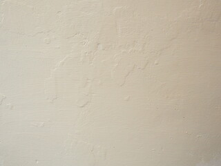 Color Wall after Paint with a Paint Roller and Brush. Home renovating with color.