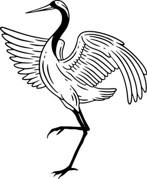 Stork Bird Flying Tropical cartoon Wild birds cranes Hand Drawn